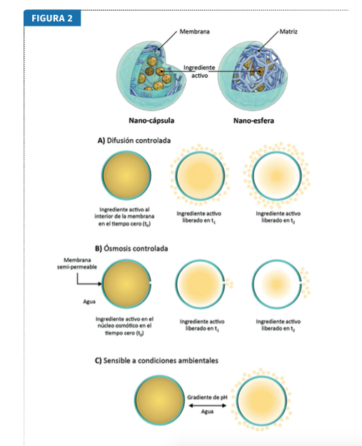 Diferencias estructurales nano-cápsulas