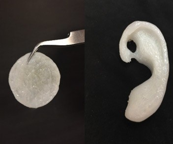 Científicos mexicanos crean implante de oreja con impresión 3D