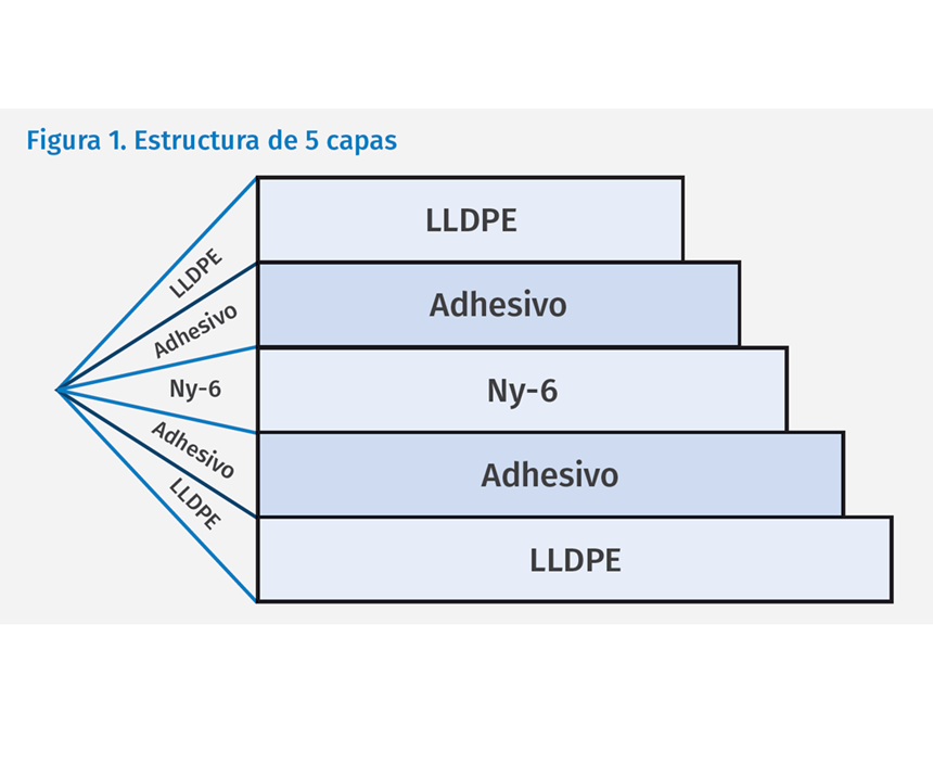 Fig 1. Estructura de 5 capas.