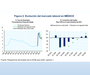 Evolución del mercado laboral en México. Fuente: OCDE.