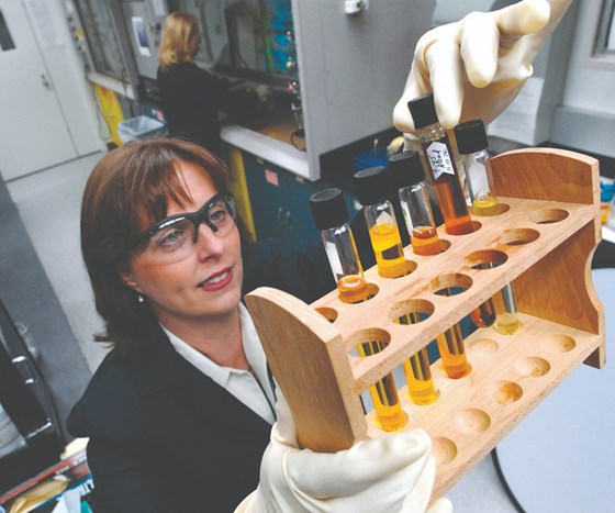 Debbie Mielewski, Senior Technical Leader, Materials Sustainability, Ford Motor Co., and her colleagues are working at finding bio-materials that can enhance the parts produced for the company’s cars and trucks.