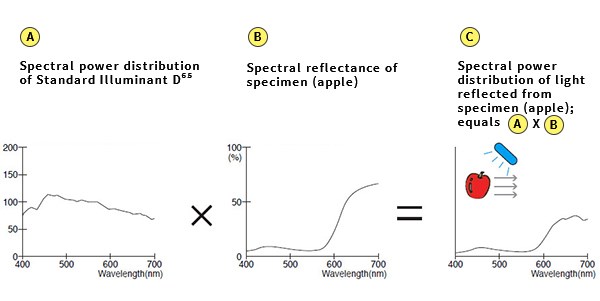 Spectral power distribution curves of illuminants