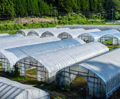 Additives: UV Stabilizer for Long-Term Weatherability of  PE Greenhouse Films