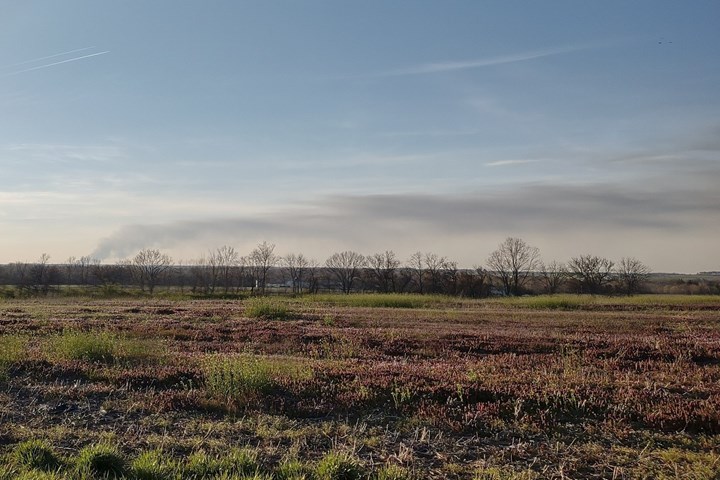 Field with distant smoke. 