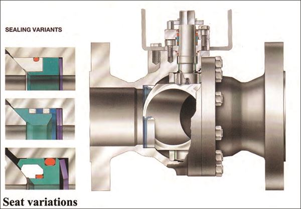 The Evolution of the All-Encompassing Ball Valve image