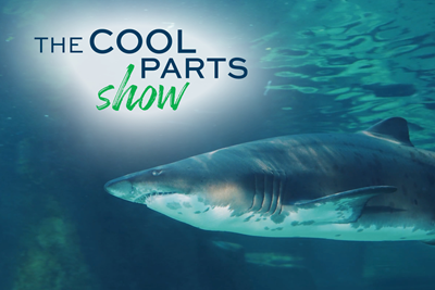 It's Shark Week on The Cool Parts Show