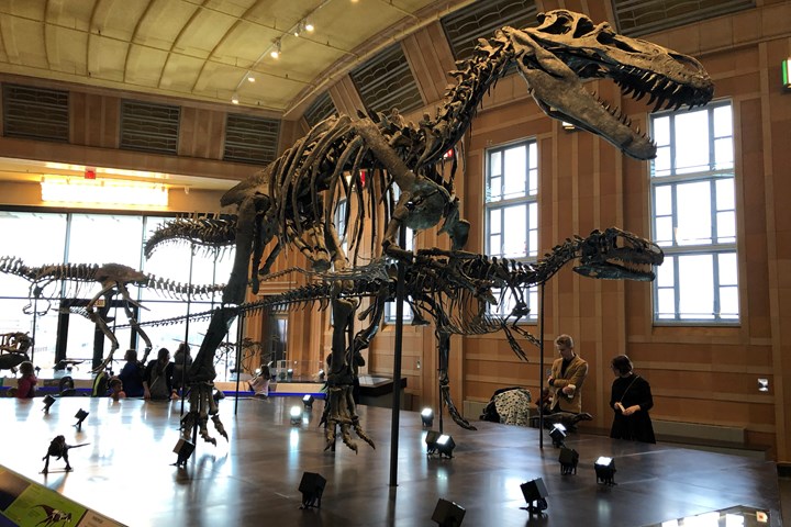 Composites fill the gaps in museum dinosaur skeletons | CompositesWorld
