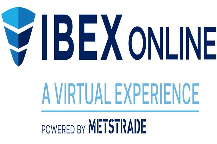 IBEX Online: A Virtual Experience logo