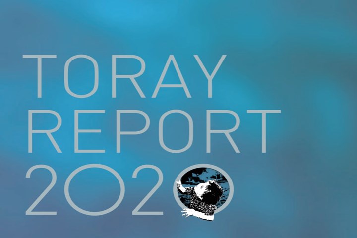 Toray Annual 2020 report