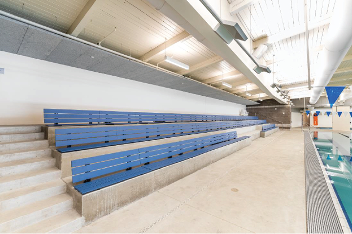 carbon fiber composite sports bench