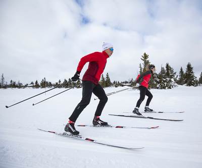 Carbon fiber tapes enhance performance of cross-country skis