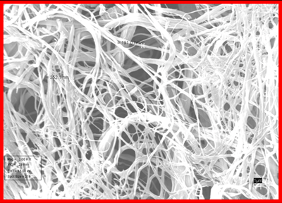Precision-cut fibers for technical, wet-process applications