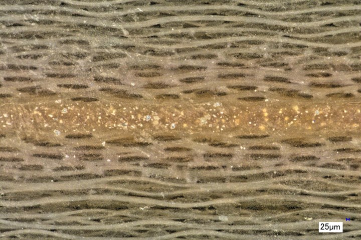 Microscopic view of FusePly resin ingressing into composite panel.