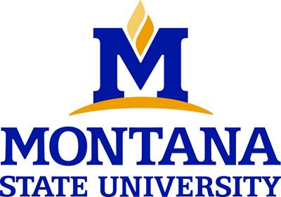 Employment opportunity: Composite engineering technician, Montana State University