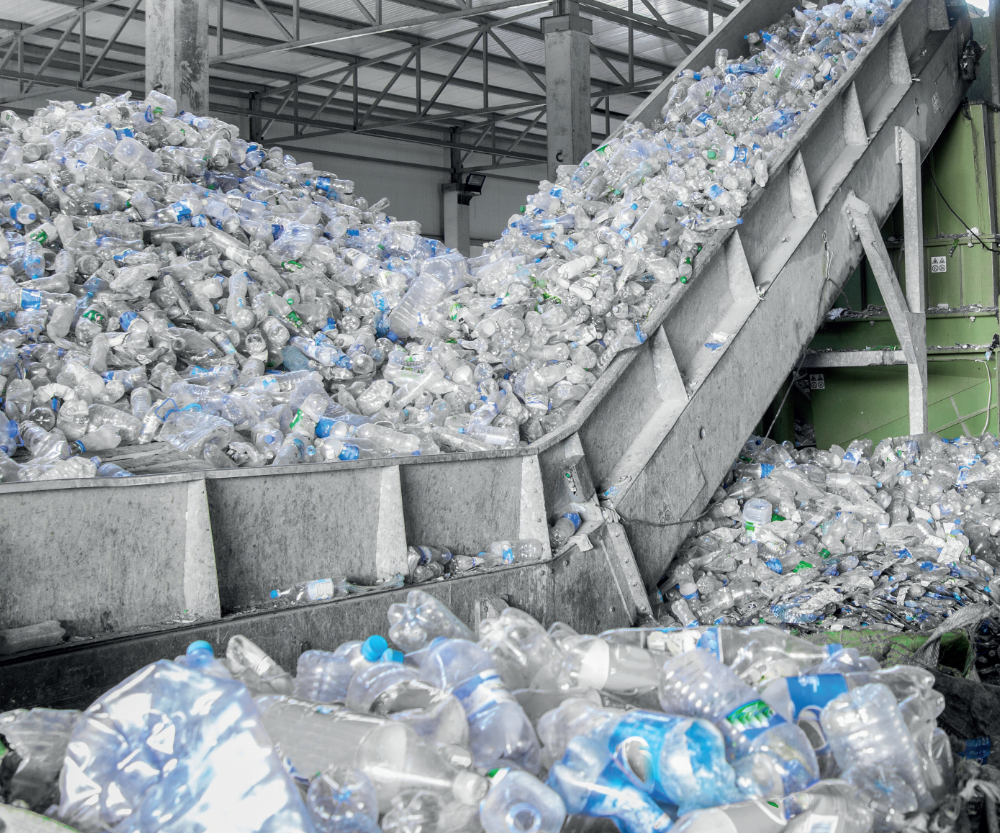 El reciclaje pasó a ser eje de la Economía Circular | Plastics Technology  México
