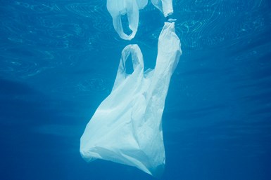 BMI Machines LLC donó un porcentaje de las ventas realizadas en Expo Plásticos 2021 a la organización Ocean Cleanup.