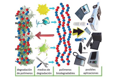 Figura 1. Polímeros biodegradables y sus aplicaciones.