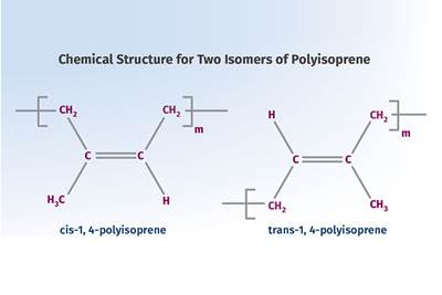 Tracing the History of Polymeric Materials: Celluloid