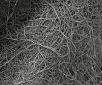 Additives: Graphene Nanotubes for Fluoroelastomers