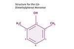 Tracing the History of Polymeric Materials: Polyphenylene Oxide