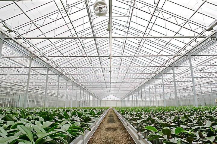 Acrylic-sheet greenhouse glazing takes advantage of the material’s transparency and resistance to weathering.