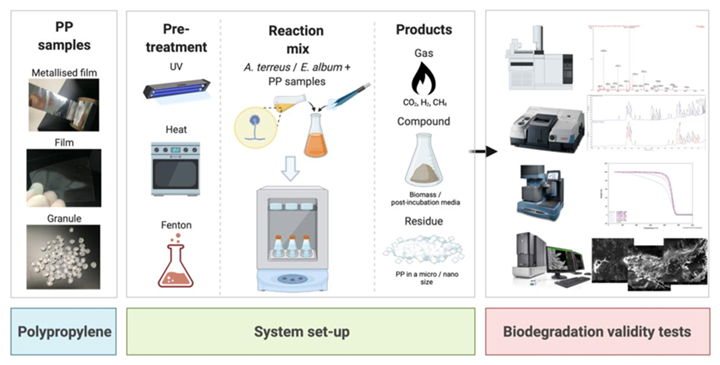 U. of Sydney researchers identify two fungi strains that biodegrade PP