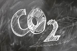 Congress Defines Carbon Dioxide as Pollutant