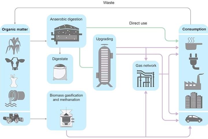 Chart with illustrations showing the process for making biogas and biomethane.