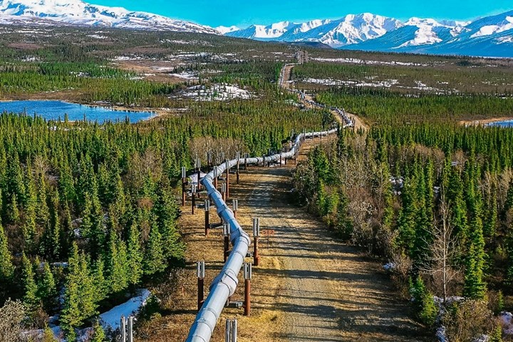Photo of oil pipeline going through forest with snow-covered mountains and lake in background