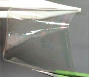 Fully transparent, rollable electronics built with graphene/CNT backbone