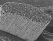 micrograph shows the individual alumina fiber filaments